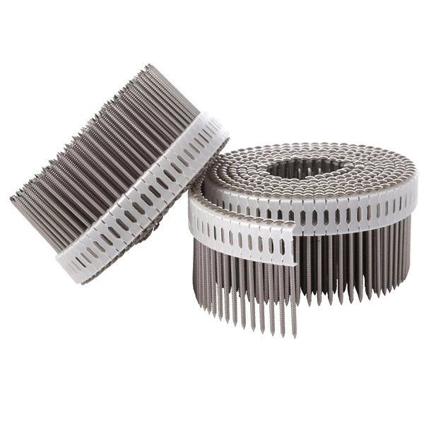 SPIT Paslode Clou Pour Cloueur Pneumatique Clou Cranté Inox A4 En Rouleau Paslode Pour Cloueur CNP - 2,5x45 Mm 3 SPIT Paslode Clou Pour Cloueur Pneumatique Clou Cranté Inox A4 En Rouleau Paslode Pour Cloueur CNP - 2,5x45 Mm – Image 3